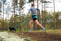 Non-Stop Dogwear Freemotion Harness 5.0